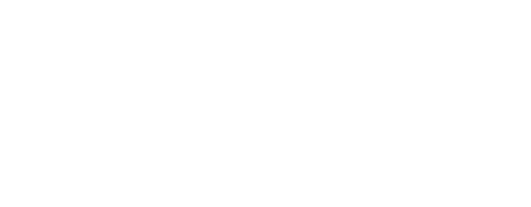 TAIBAI LLC